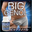 BIG GENOL(ビッグジノール)