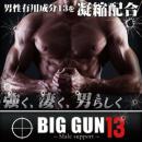 BIG GUN13(ビッグガン13)