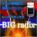 bigradix(ビッグラディクス)