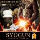 SYOGUN -men of power-